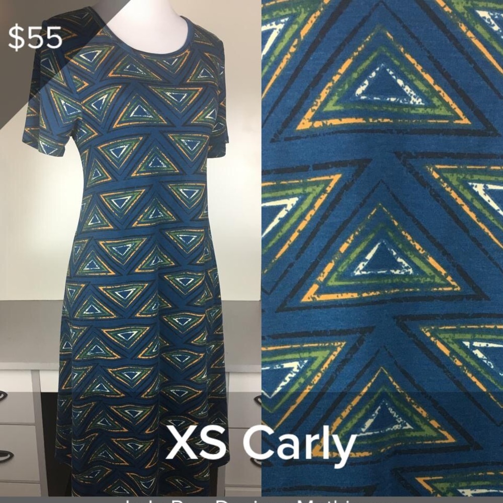 NWT LuLaRoe Carly Swing Dress